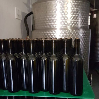 Degustazione di vini e visita ad un borgo medievale dei Castelli Romani
