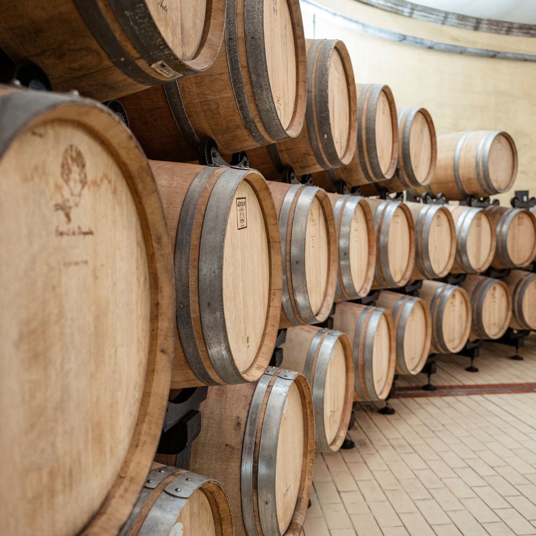 Abbey Tour, Wine Tasting and Light Lunch near Pisa