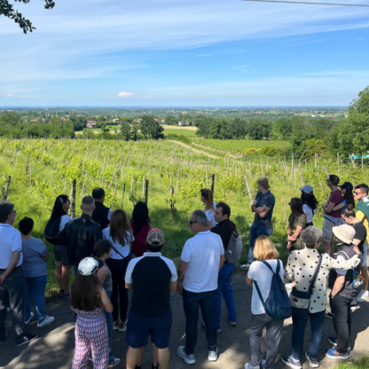 Weinbergbesuch auf den Parma-Hügeln & Weinprobe mit Speisenplatte