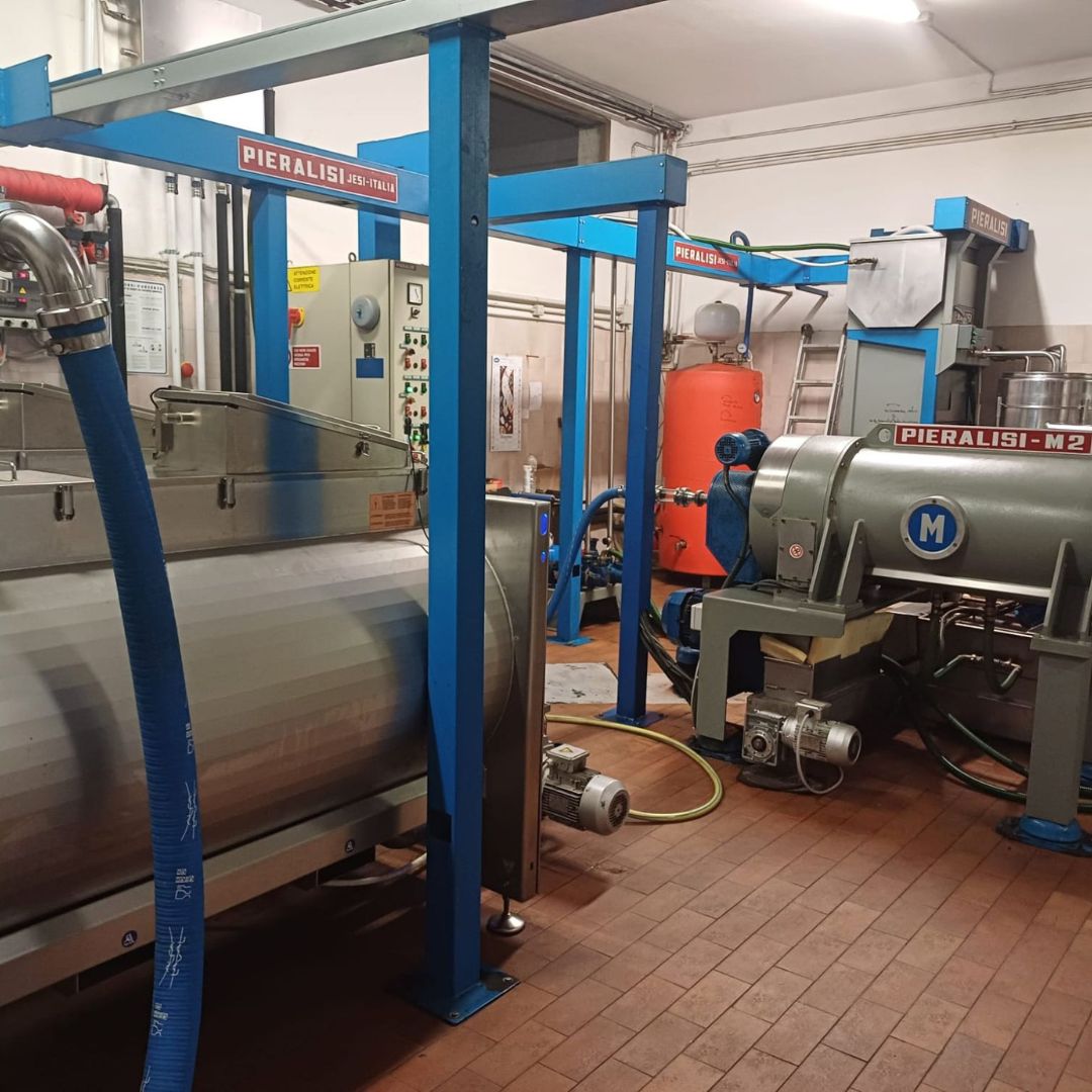 Olive Mill Tour with Oil & Food Tasting near Chianciano, Siena & Perugia
