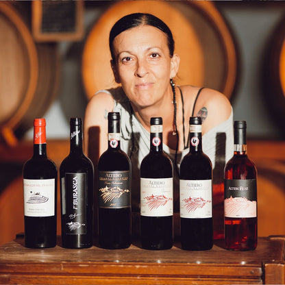 Chianti Winery Tour with Wine & Food Tasting near Florence