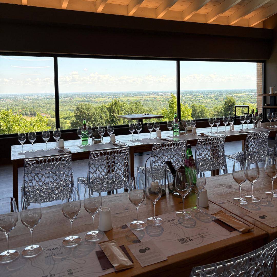 Weinbergbesuch auf den Parma-Hügeln & Weinprobe mit Speisenplatte