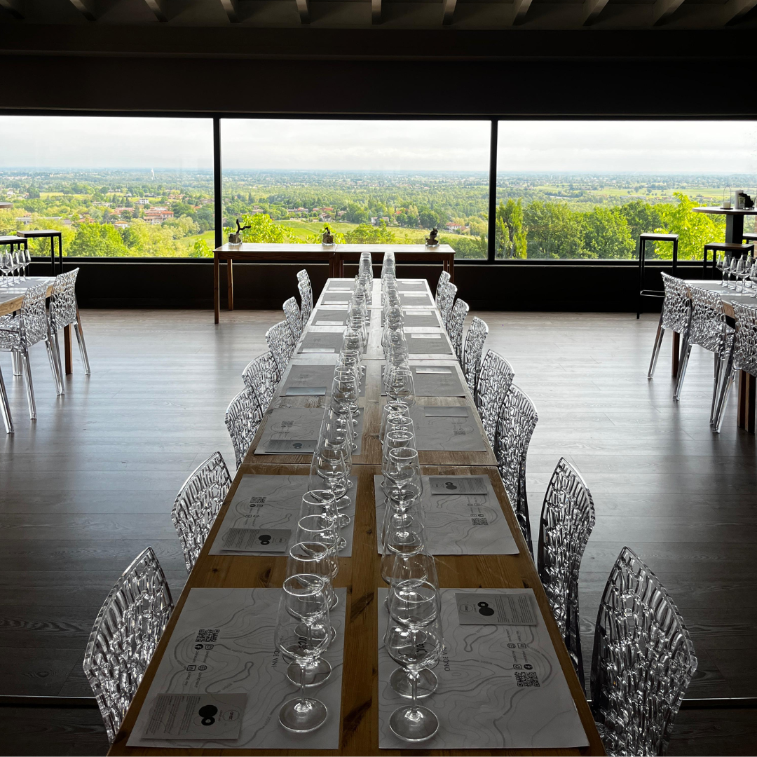 Weinbergbesuch auf den Parma-Hügeln & Weinprobe mit Speisenplatte