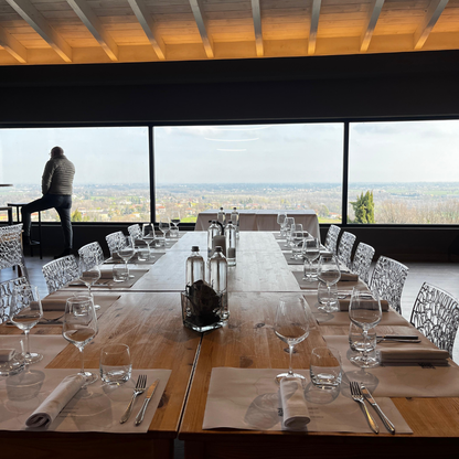 Weinbergbesuch auf den Parma-Hügeln & Weinprobe mit Speisenplatte