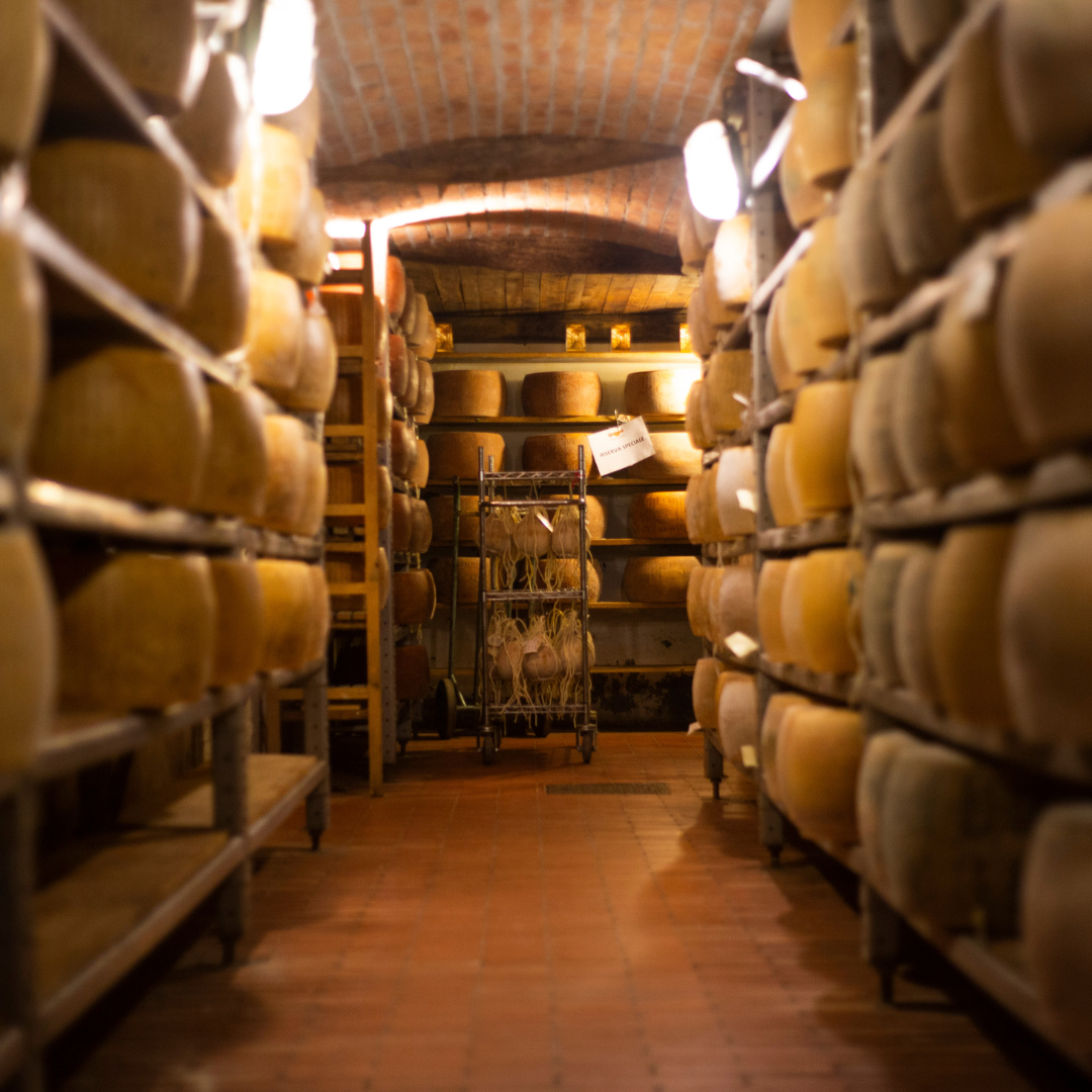 Cheese Cellar Tour with Tasting and Wine at Lake Maggiore 2 Novara