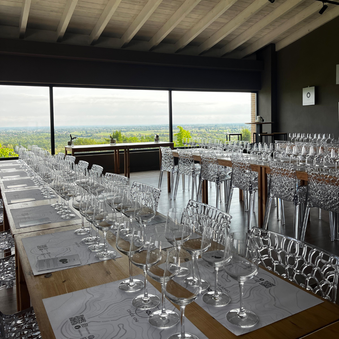 Weinbergbesuch auf den Parma-Hügeln & Weinprobe mit Speisenplatte