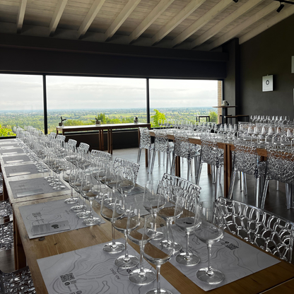 Weinbergbesuch auf den Parma-Hügeln & Weinprobe mit Speisenplatte