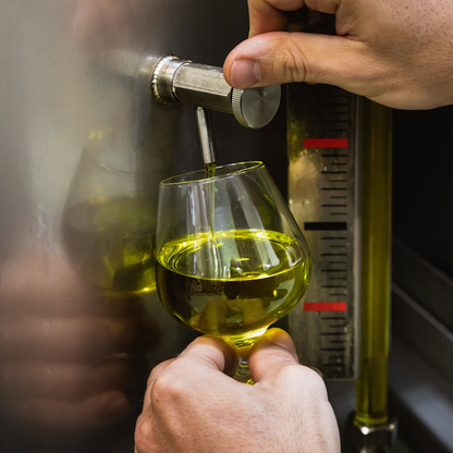Olive Mill Tour with Tasting near Spoleto & Foligno 5 Perugia