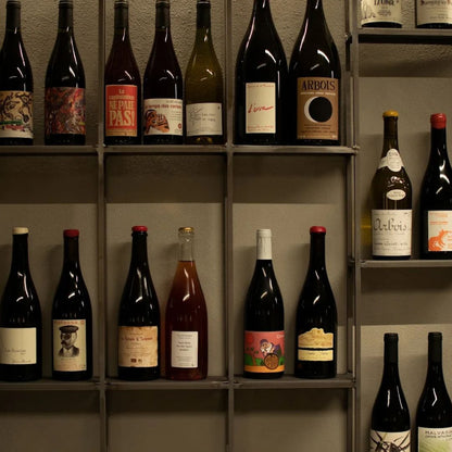 Wine Tasting with Local Bites in Pisa