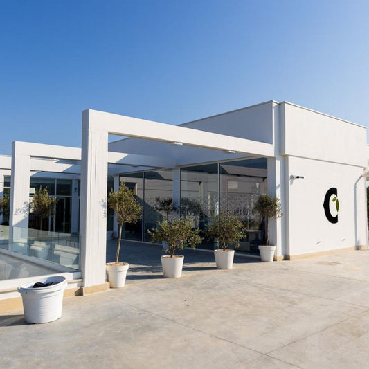 Olive Oil Mill Tour with Tasting near Bari