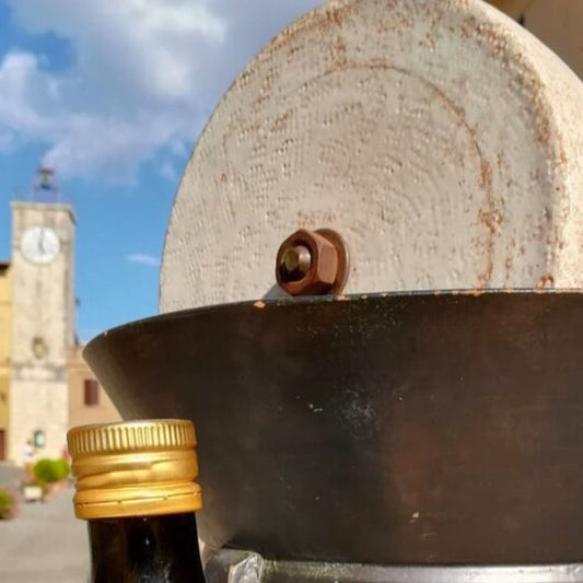 Olive Mill Tour with Oil & Food Tasting near Chianciano, Siena & Perugia