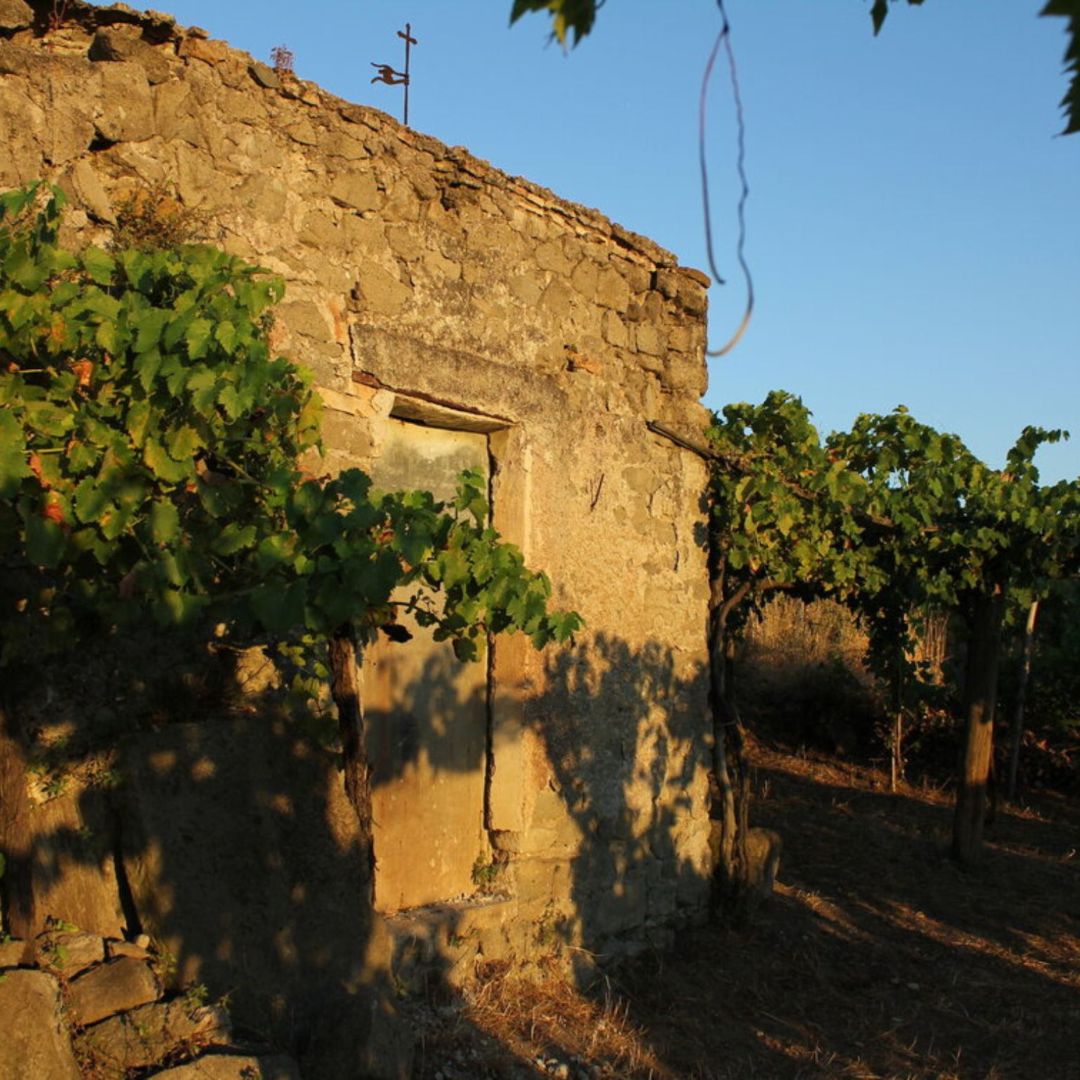 Wine Tasting & Medieval Town Visit at Castelli Romani