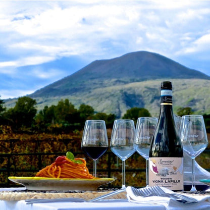 Winery Tour with Organic Wine Tasting & Lunch near Pompeii
