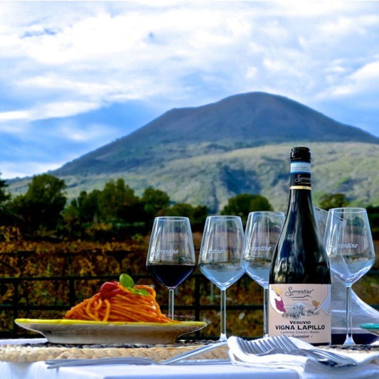 Winery Tour with Organic Wine Tasting & Lunch near Pompeii