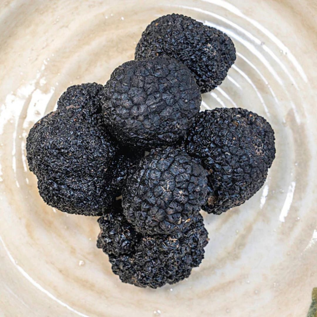 Truffle Tasting & Museum Tour in Umbria, near Perugia