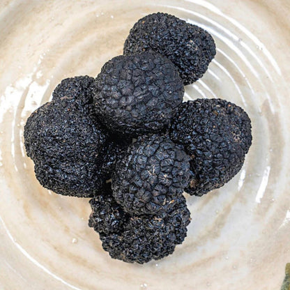 Truffle Tasting near Perugia with Museum Visit