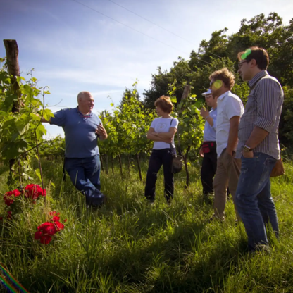 Winery Tour & Tasting on Padua Hills