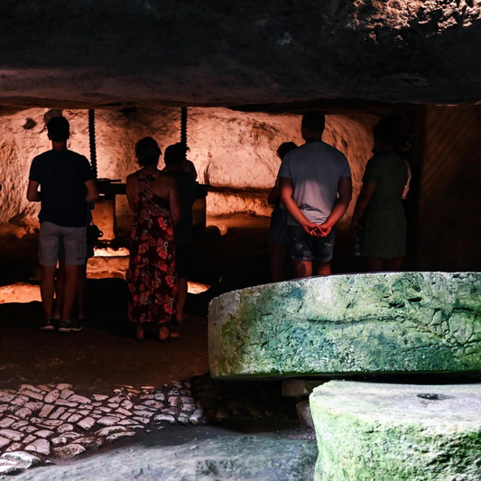 Underground Olive Mill Tour & Tasting near Otranto