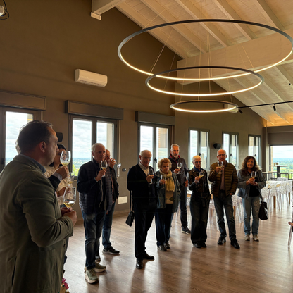 Weinbergbesuch auf den Parma-Hügeln & Weinprobe mit Speisenplatte