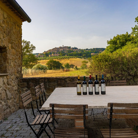 Tour della Cantina e Degustazione di Vini con Cibo vicino a Livorno e Pisa