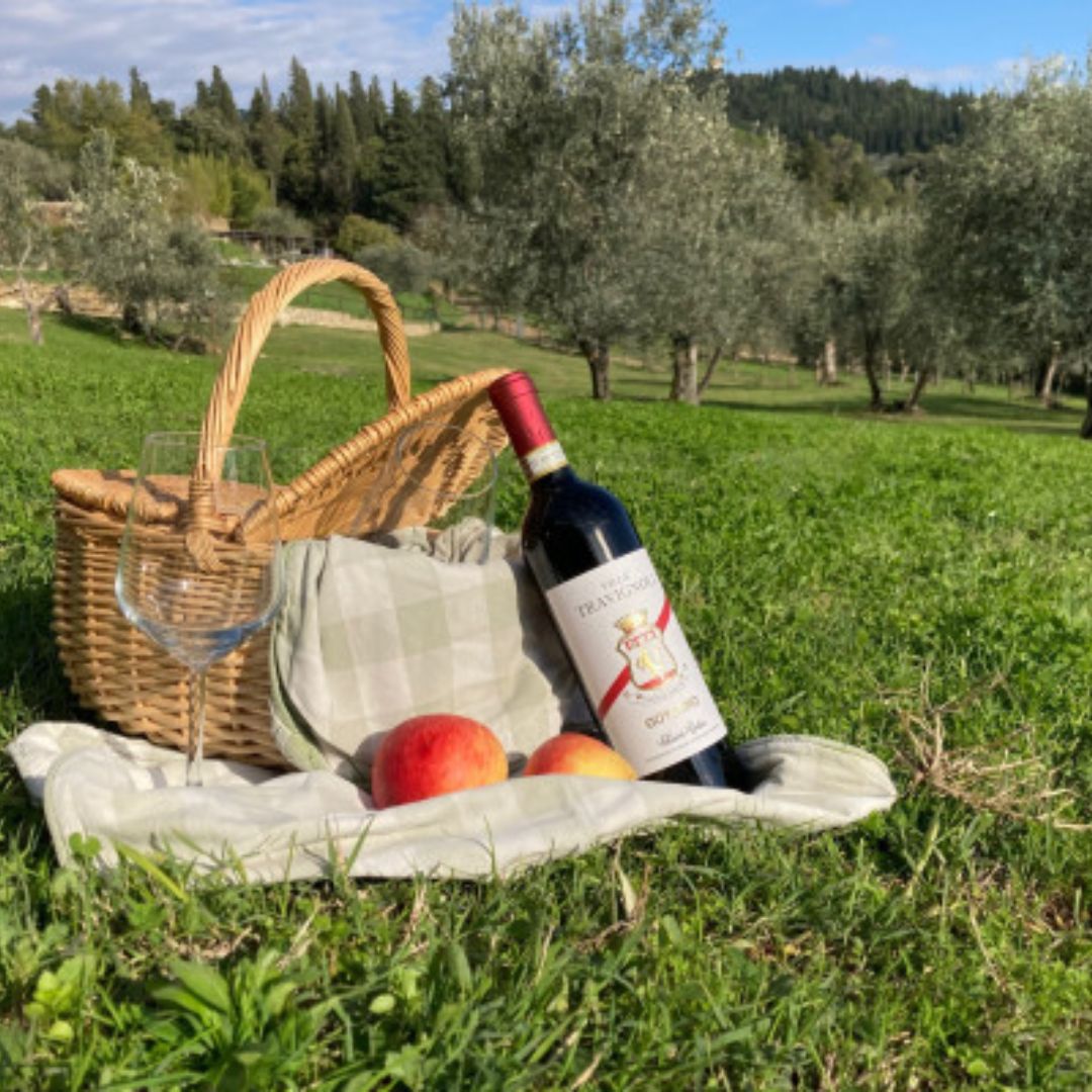 Natural Park and Picnic Experience near Florence