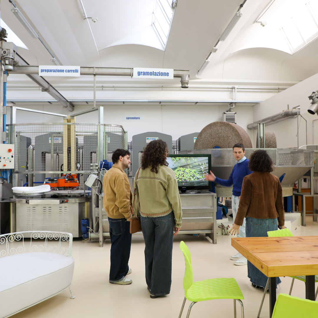 Olive Oil Tasting Experience with Aperitivo near Ancona 3 Ancona