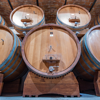 Wine Tasting with Snacks in Neive, the heart of Langhe 5 Cuneo