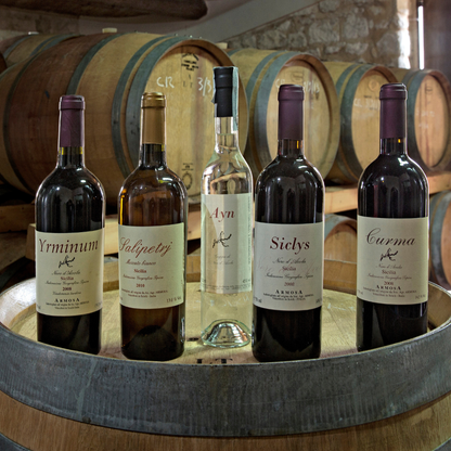 Weingutbesichtigung mit Weinverkostung & regionalem Essen in der Nähe von Ragusa