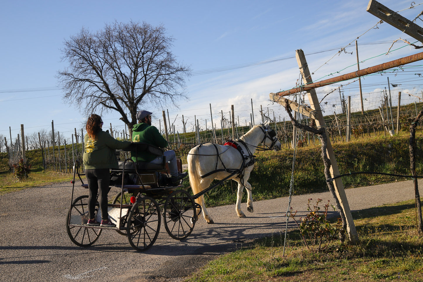 Horse Carriage Tour and tasting of local food in Lazise