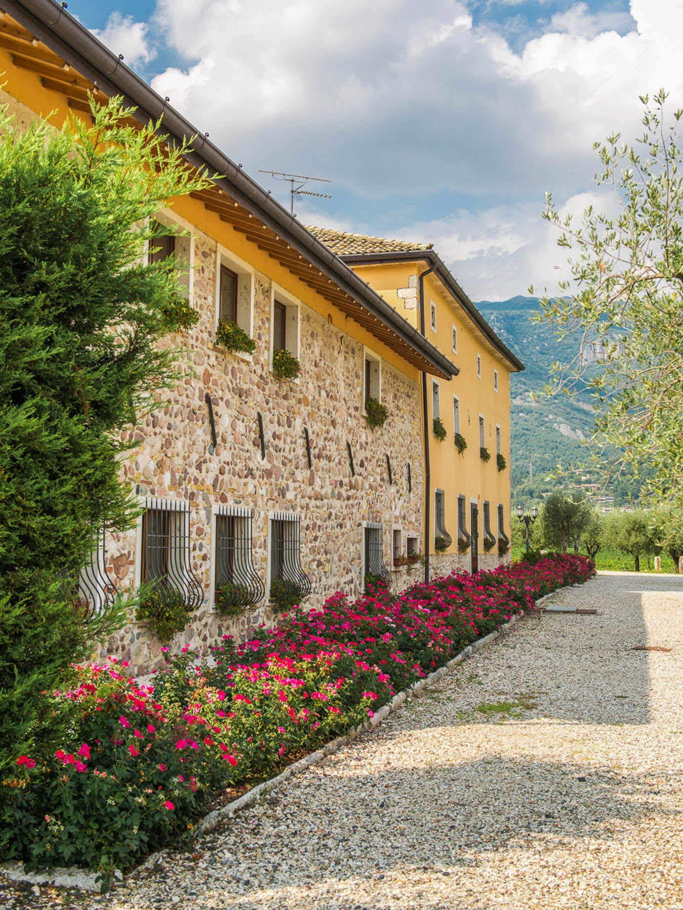 Wine Tour and Tasting on Garda Hills