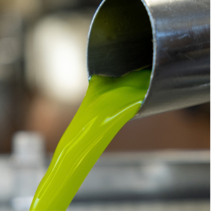 Olive Oil Mill Tour with Tasting & Wine near Volterra 2 Livorno