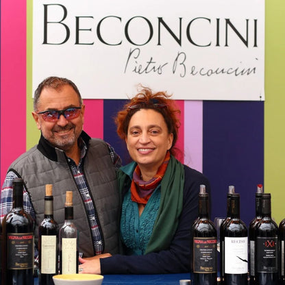 Organic Wine Tasting and Vineyard Tour near Empoli and Pisa