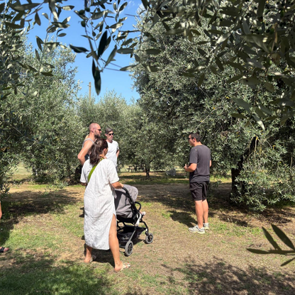 Olive Mill Tour with Oil & Food Tasting near Chianciano, Siena & Perugia