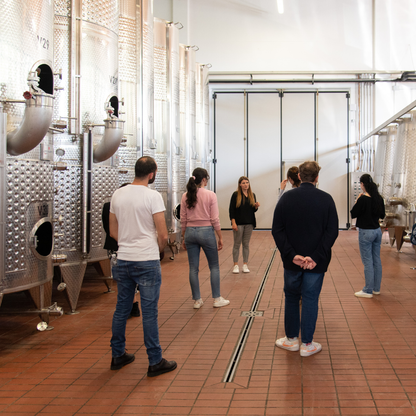 Weinbergbesuch auf den Parma-Hügeln & Weinprobe mit Speisenplatte