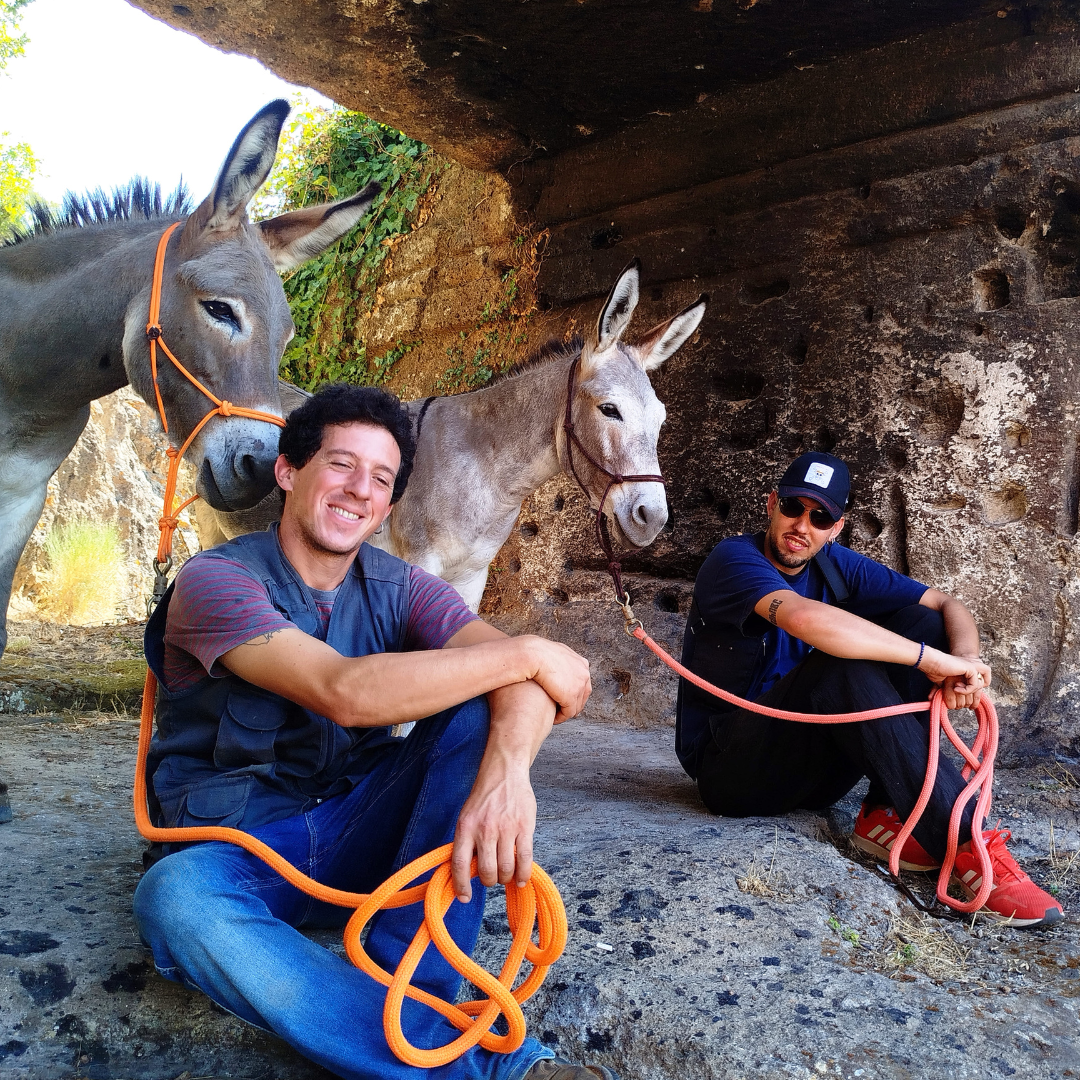 Passeggia con gli asini e visita le Grotte Porcine presso Viterbo