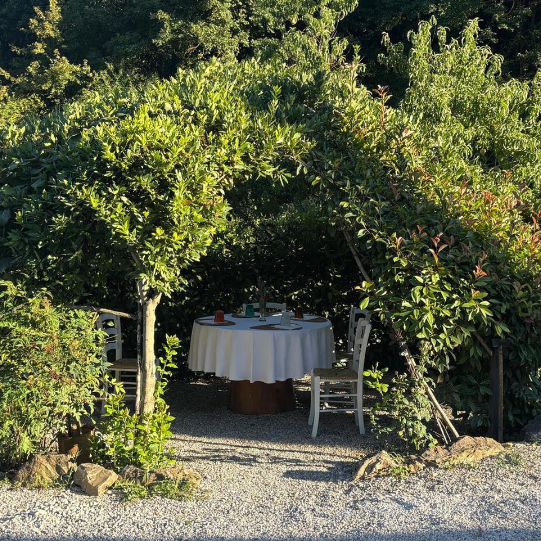 Farmhouse Orchard Walk, Wine & Food Tasting in Montalcino 4 Siena