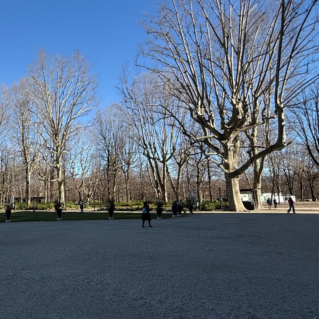 Guided Walking Tour of Turin: the First Italian Capital 4 Torino