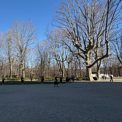 Guided Walking Tour of Turin: the First Italian Capital 4 Torino