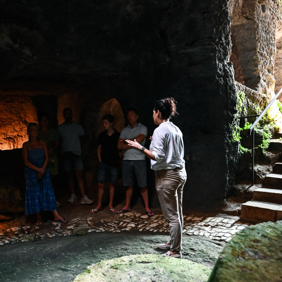 Underground Olive Mill Tour & Tasting near Otranto