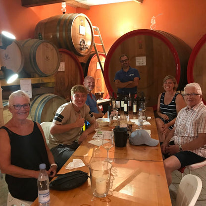 Organic Wine Tasting and Vineyard Tour near Empoli and Pisa