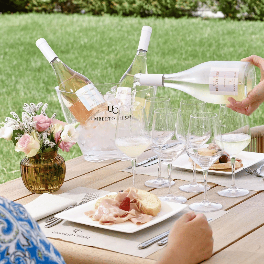 Wine Tasting with Food Pairing near Bologna