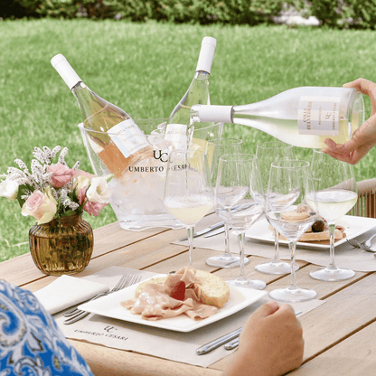 Wine Tasting with Food Pairing near Bologna