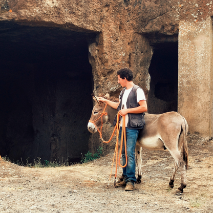 Passeggia con gli asini e visita le Grotte Porcine presso Viterbo