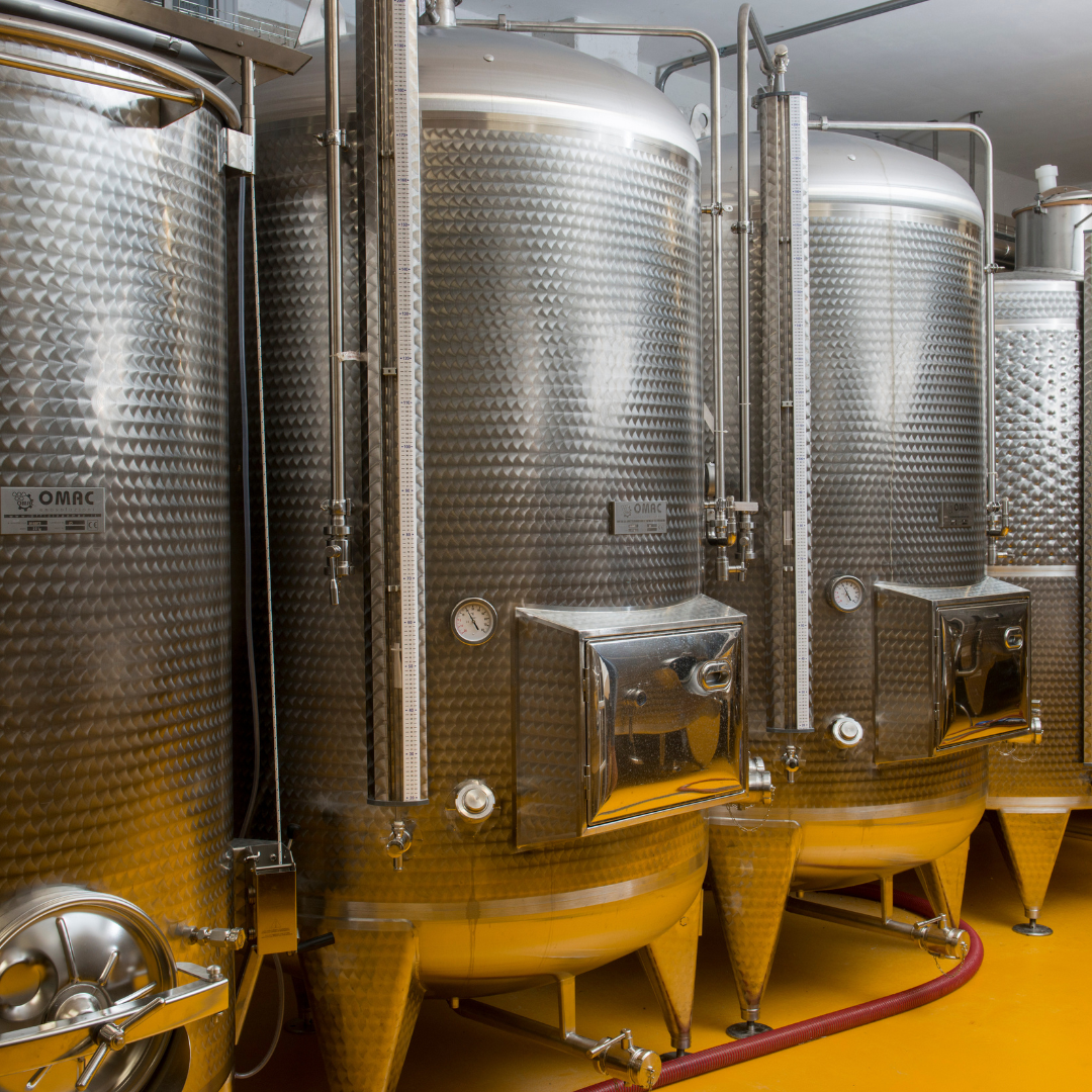 Visita a cantina boutique biologica e degustazione di 6 vini vicino a Urbino