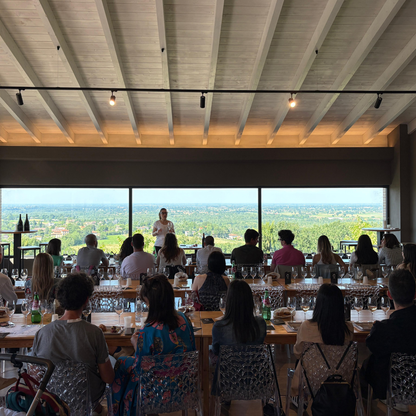 Weinbergbesuch auf den Parma-Hügeln & Weinprobe mit Speisenplatte