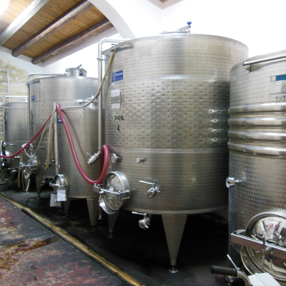 Weingutbesichtigung mit Weinverkostung & regionalem Essen in der Nähe von Ragusa