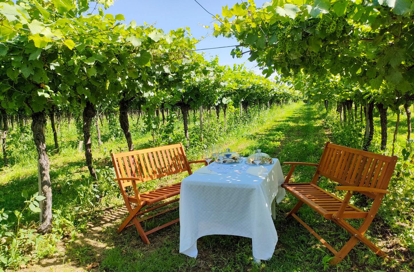 Horse Carriage Tour and tasting of local food in Lazise