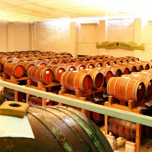 Balsamic Vinegar Tasting & Vintage Car Museum near Modena 1 Modena