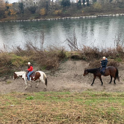 Horseback Riding near Verona along the River