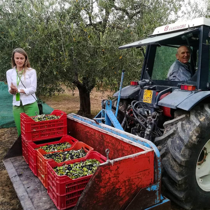 Olive Mill Tour with Oil & Food Tasting near Chianciano, Siena & Perugia